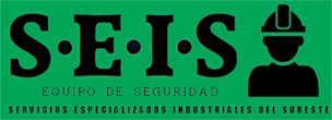 SEIS Seguridad